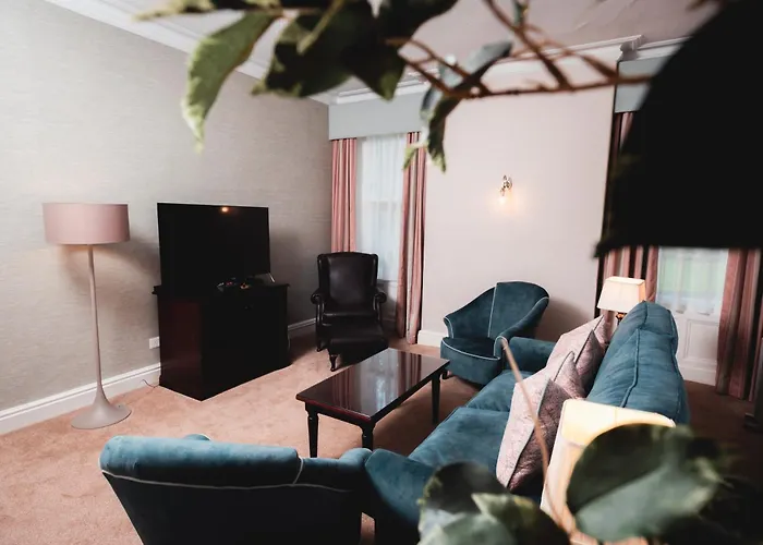 酒店 老天鹅酒店 4*