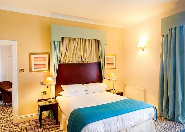 酒店 老天鹅酒店 4*