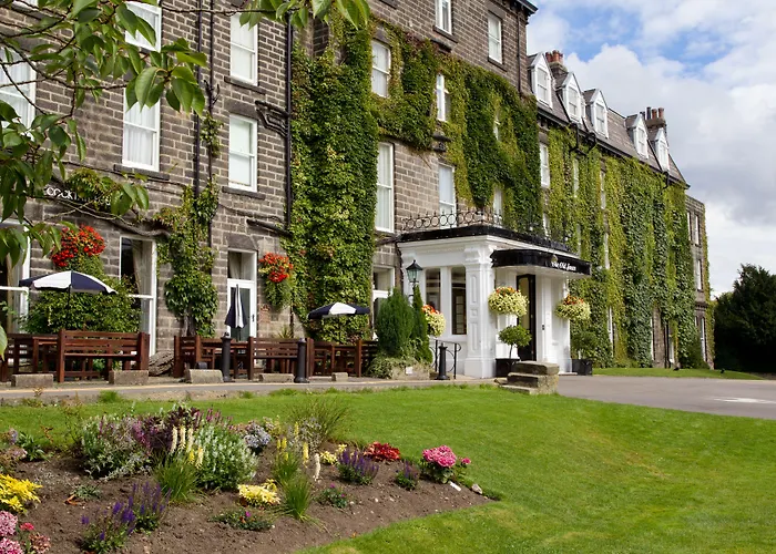 酒店 老天鹅酒店 4*