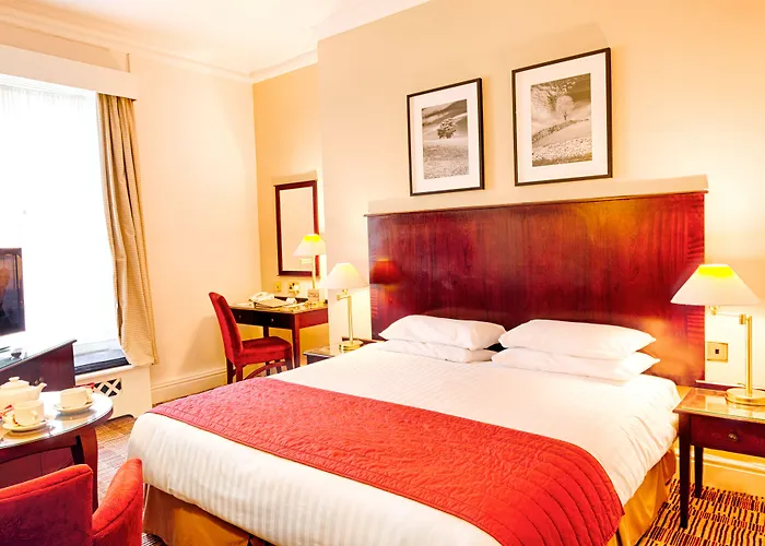 老天鹅酒店 酒店 4*