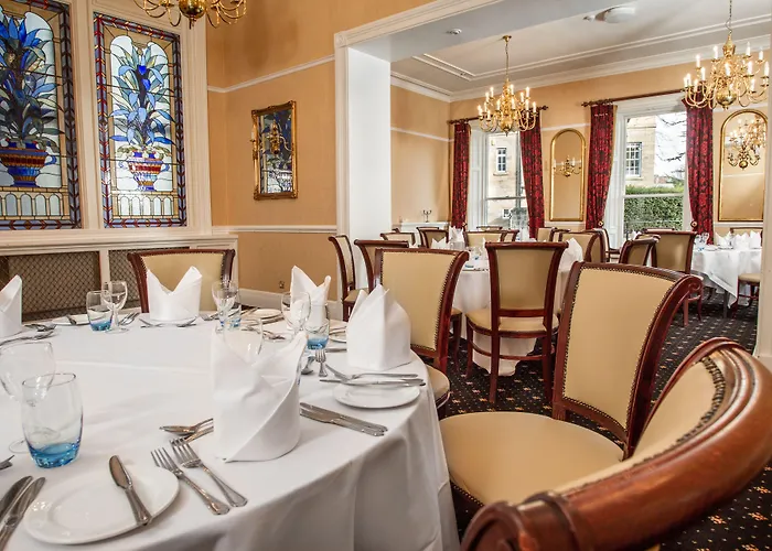 酒店 老天鹅酒店 4*