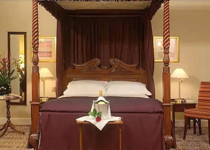 酒店 老天鹅酒店