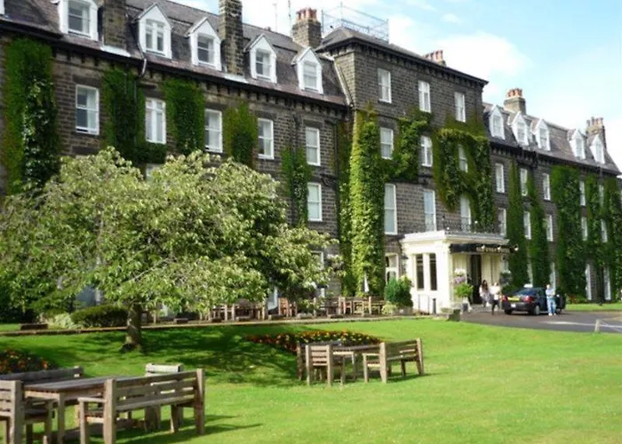 酒店 老天鹅酒店 4*